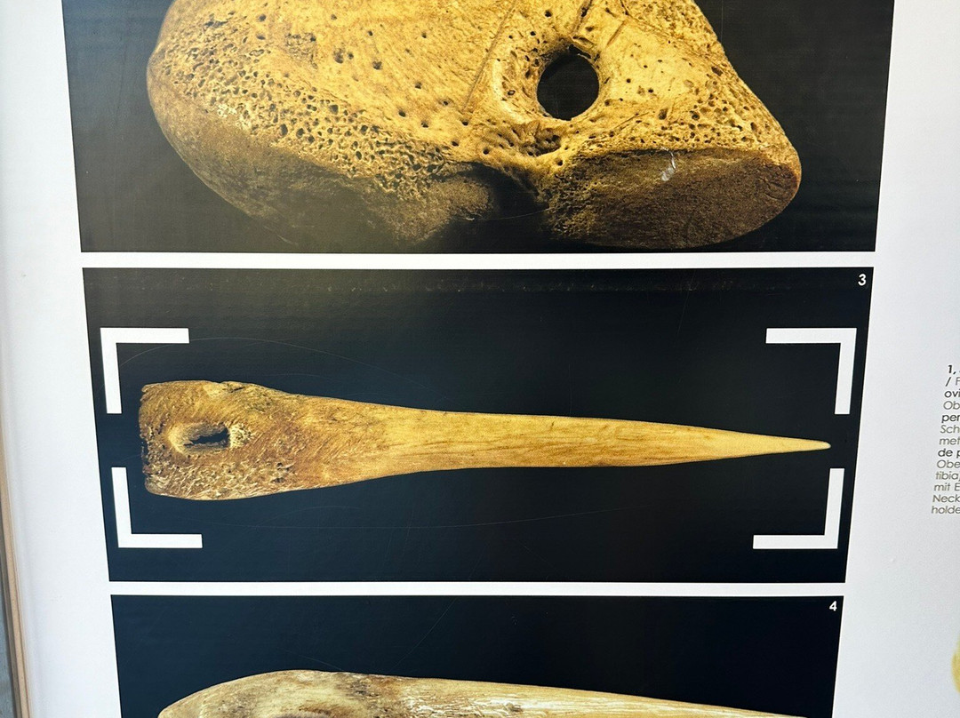 Parque Arqueologico Tendal-San Andres y Sauces必去景点