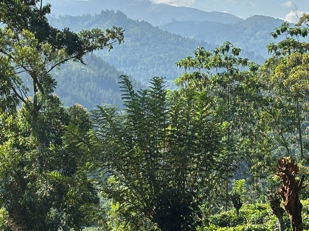 The Weir House主图