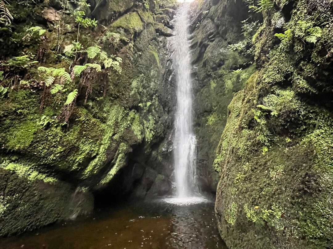 Madeira Wonder Hikes-沙尔必去景点