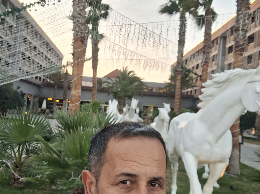 The Arkin Iskele Hotel主图