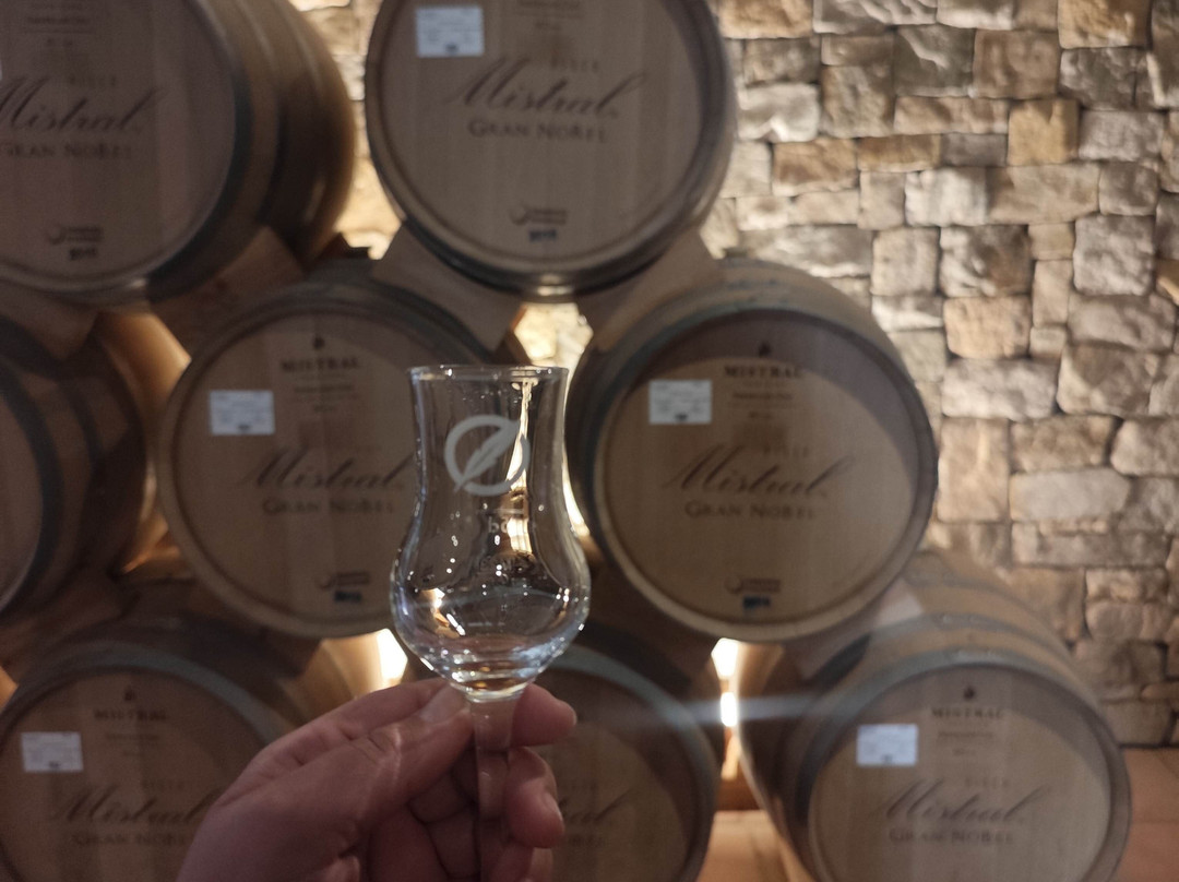 Destileria Pisco Mistral-Pisco Elqui必去景点