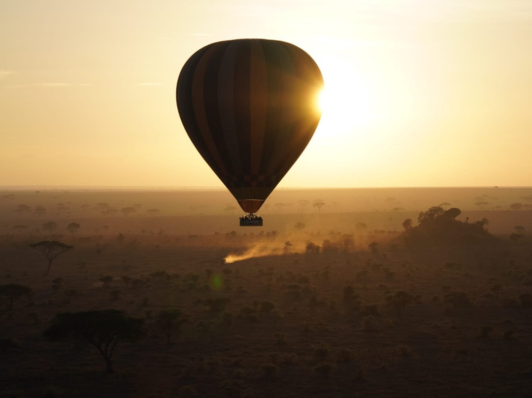 Tanzania Specialist-阿鲁沙必去景点