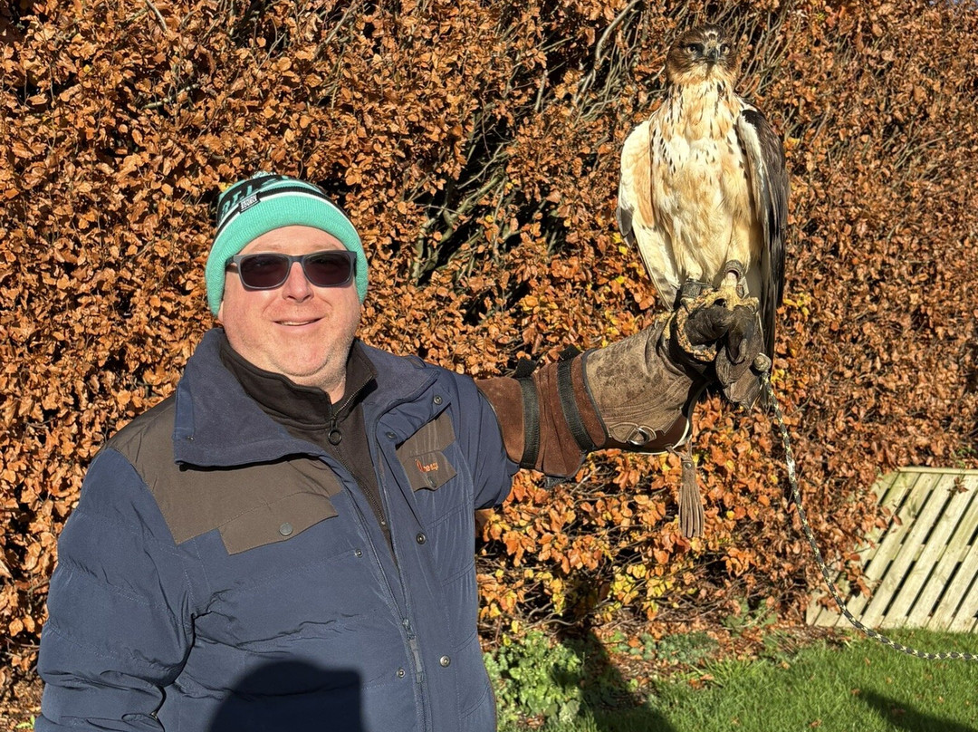 Thirsk Birds Of Prey Centre-瑟斯克必去景点