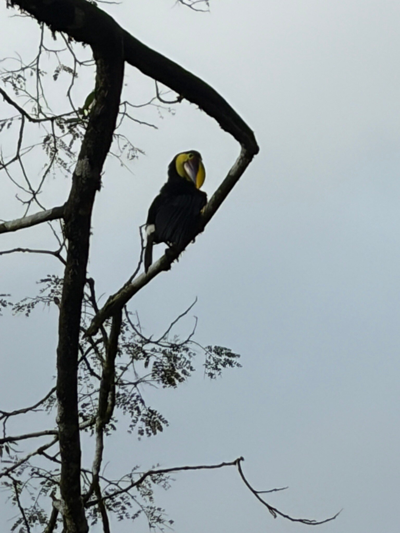 La Carolina Lodge-官方