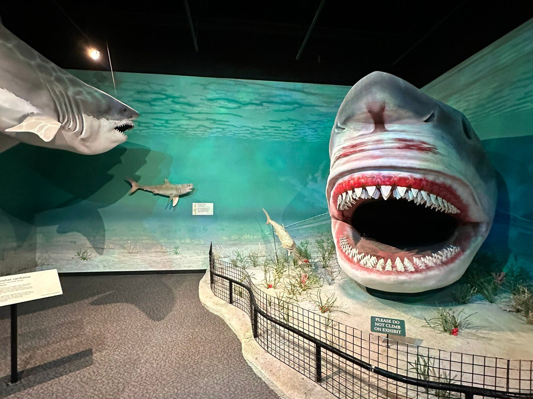 Mountain America Museum of Ancient Life-李海必去景点