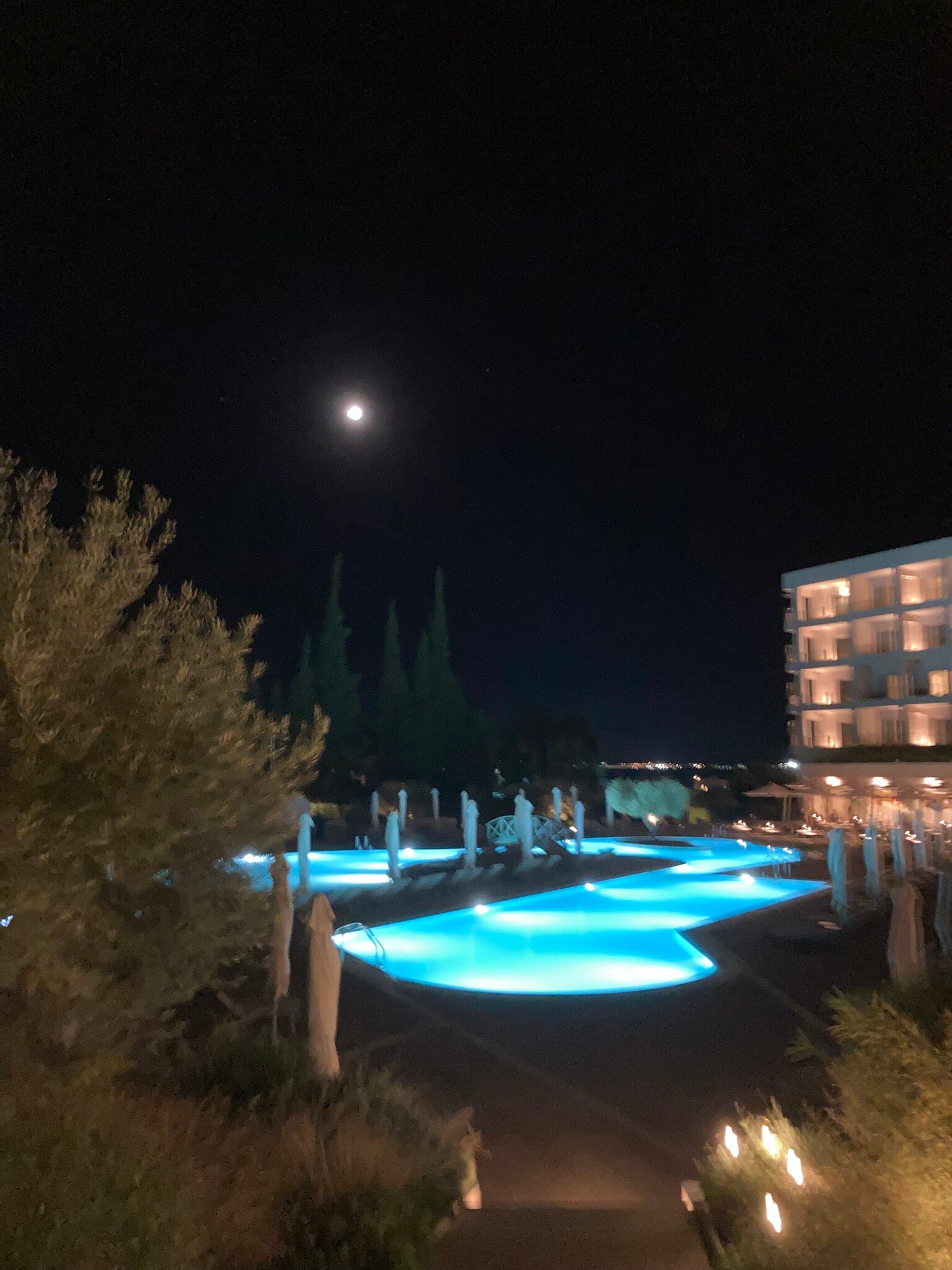 奥利维亚酒店-官方