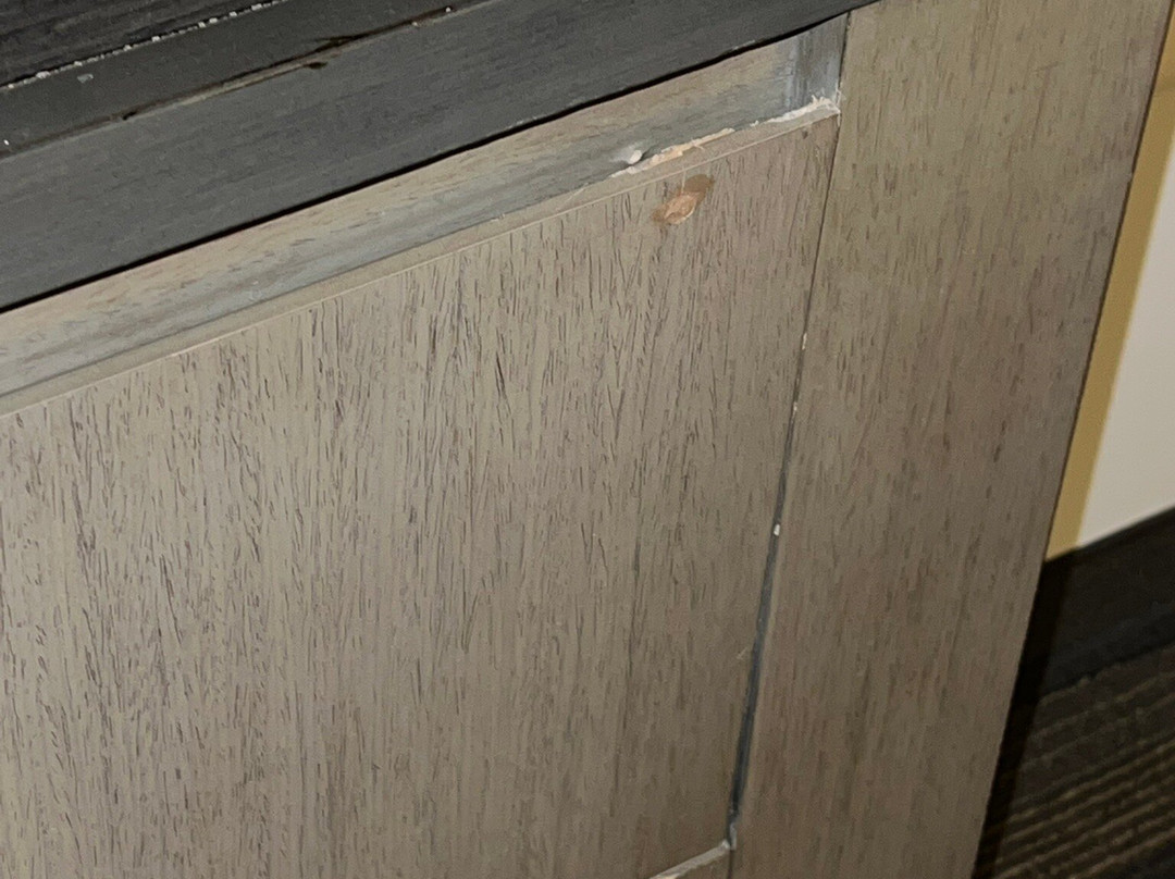 Hyatt House Dallas / Frisco主图