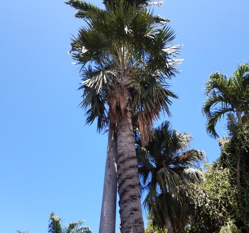 Jardin d'Eden-圣吉尔莱班必去景点