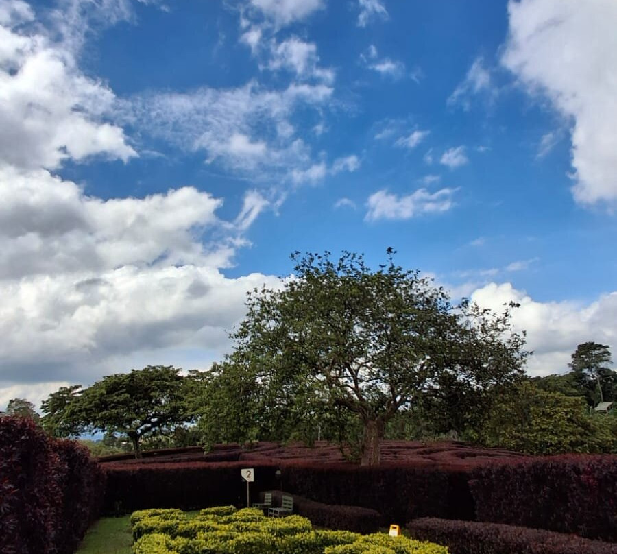 Laberinto Mil Caminos-Quimbaya必去景点