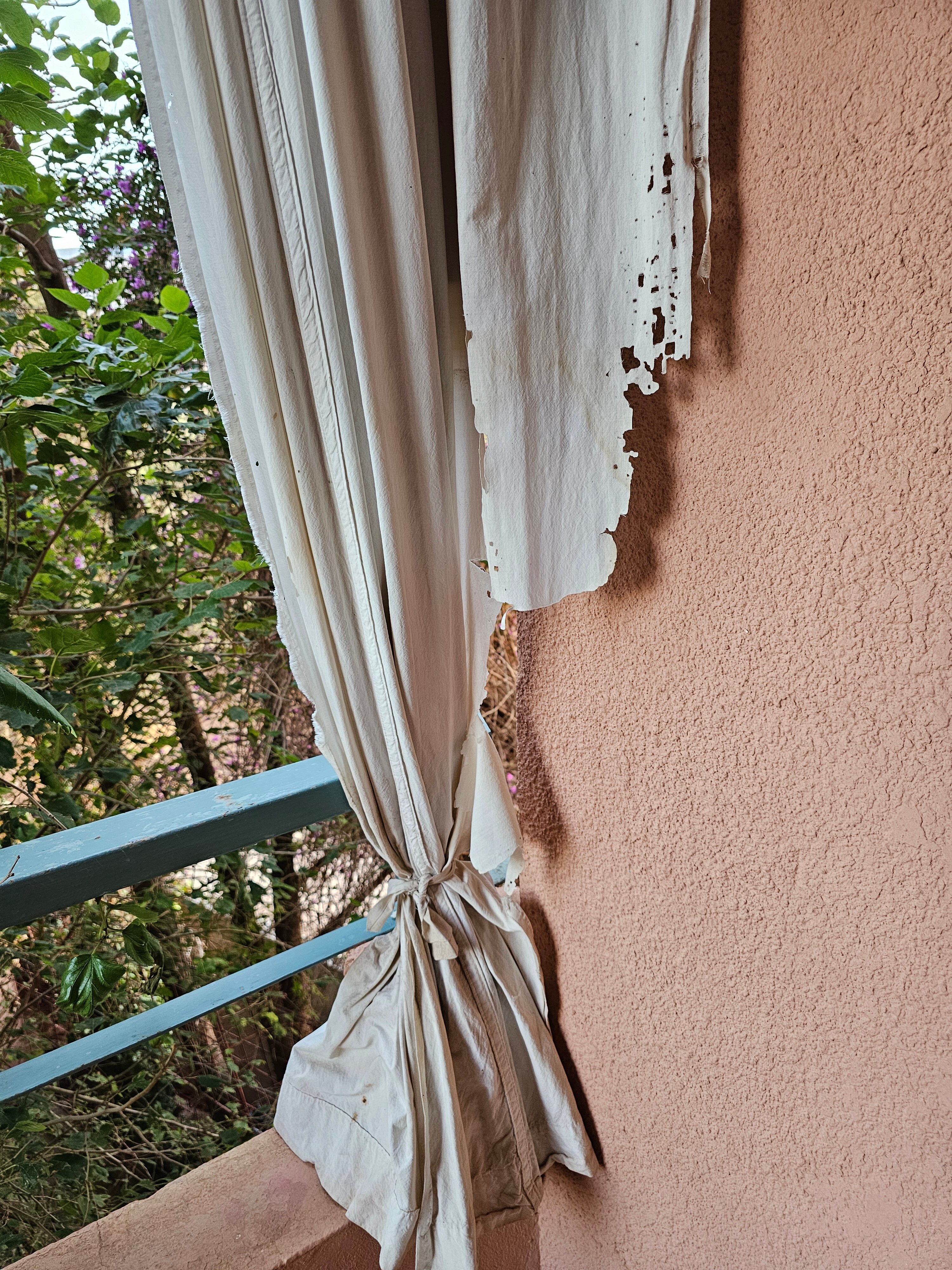 Chems Le Tazarkount-官方