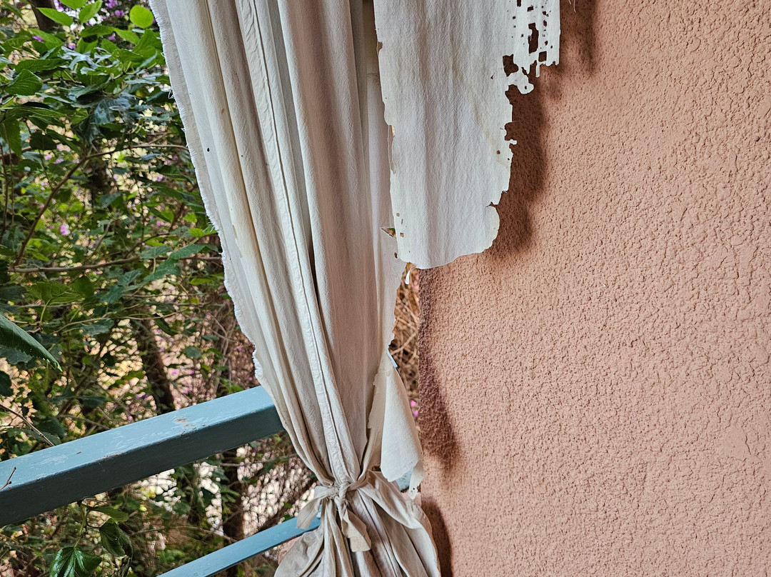 Chems Le Tazarkount主图