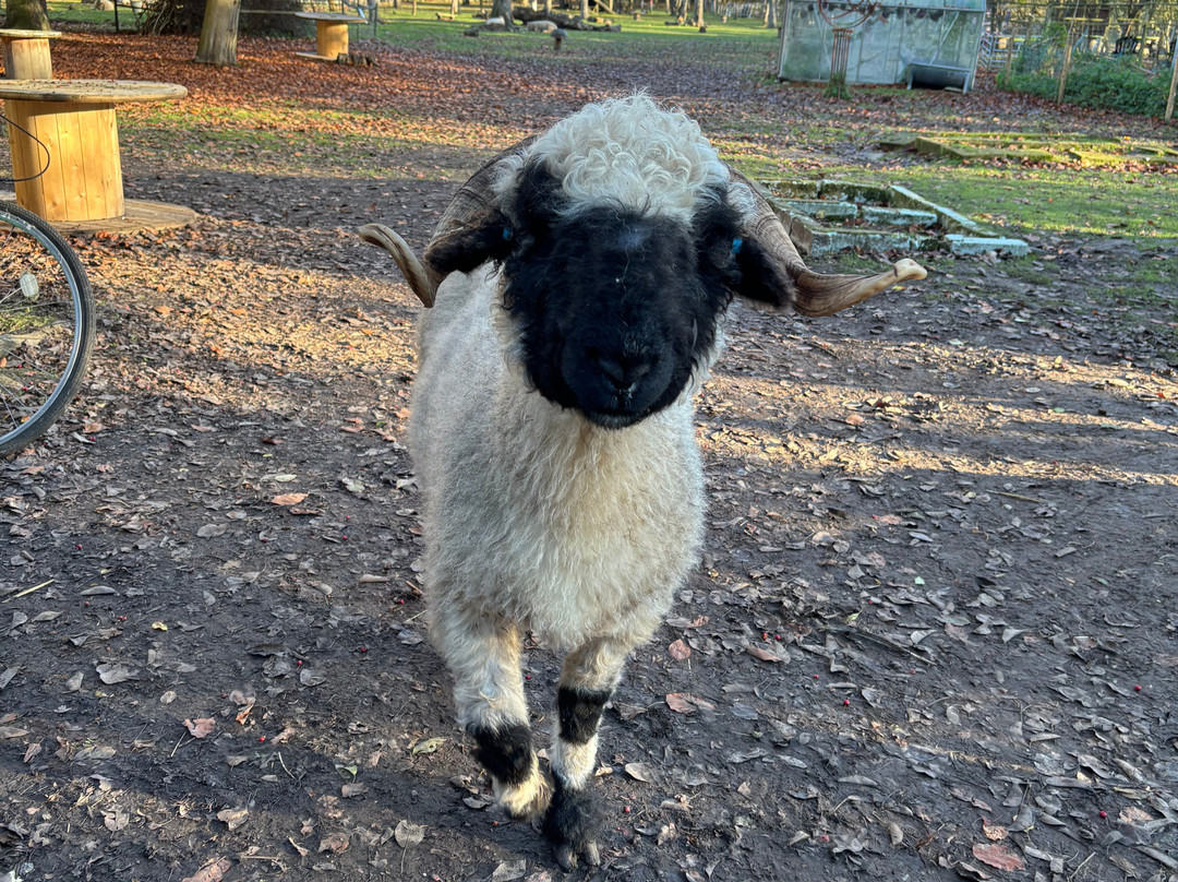 Huckleberry Woods-Faversham必去景点