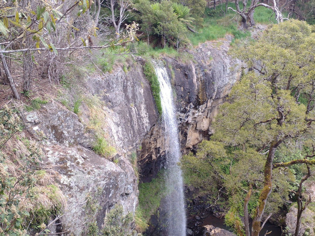 Preston Falls-Ulverstone必去景点