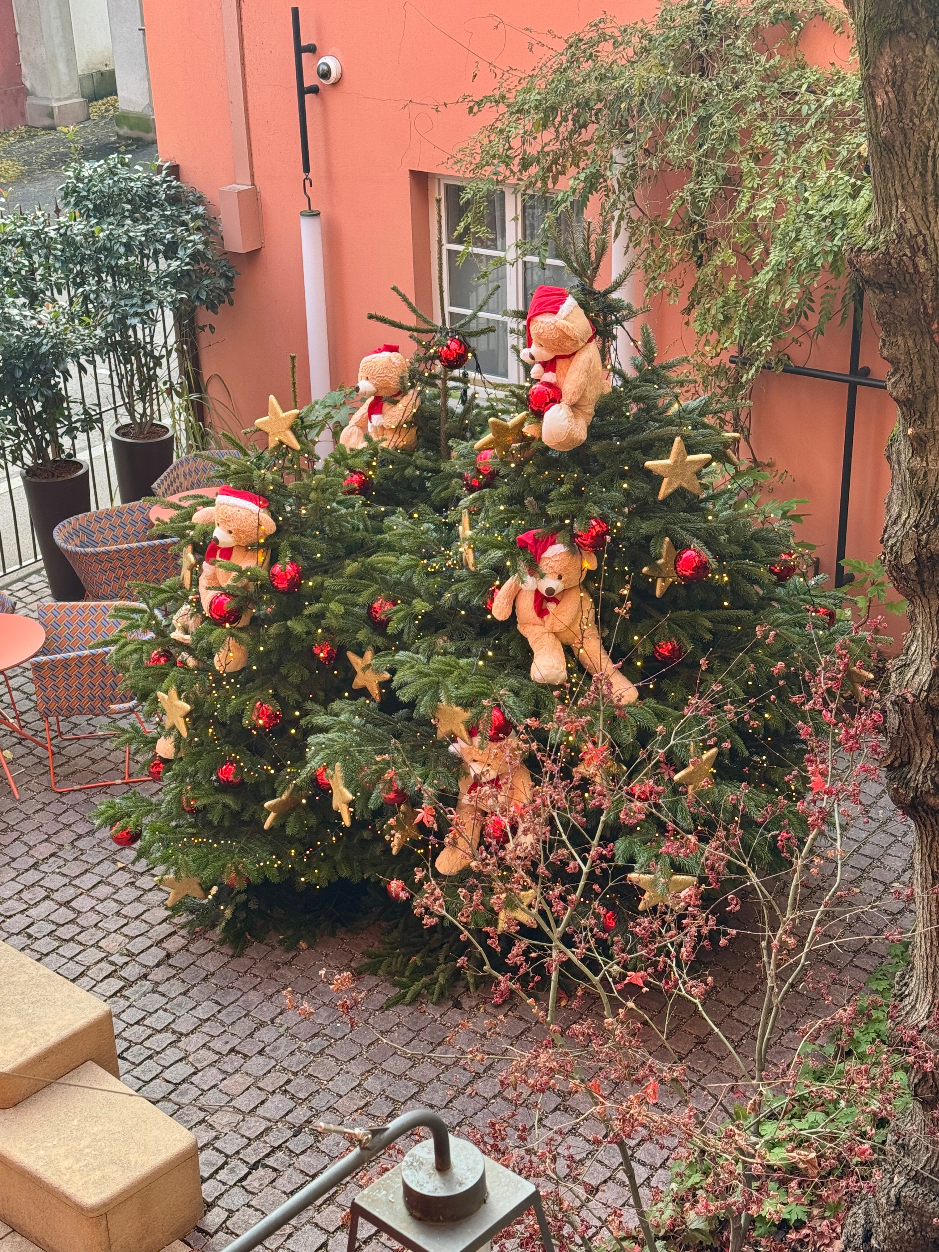 Hotel du Dragon-浴室