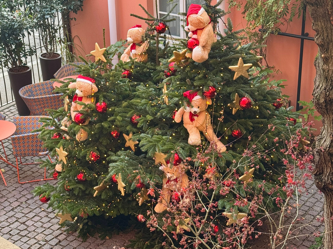 Hotel du Dragon主图