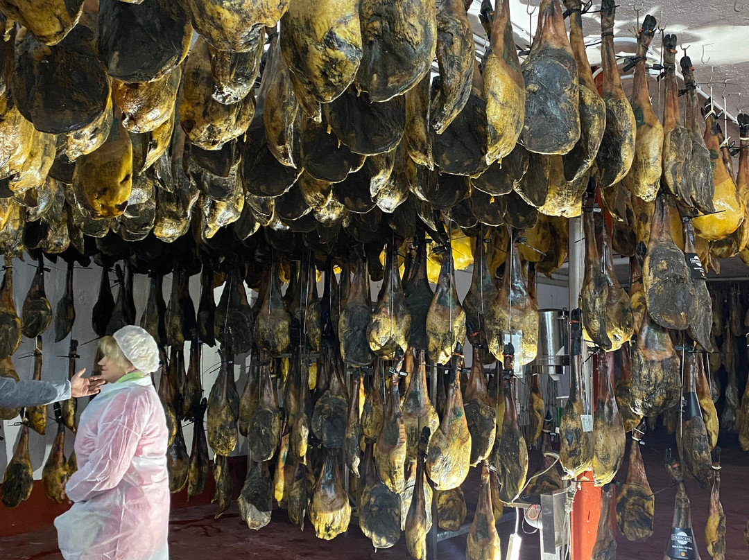 Ibéricos Vázquez-阿拉塞纳必去景点