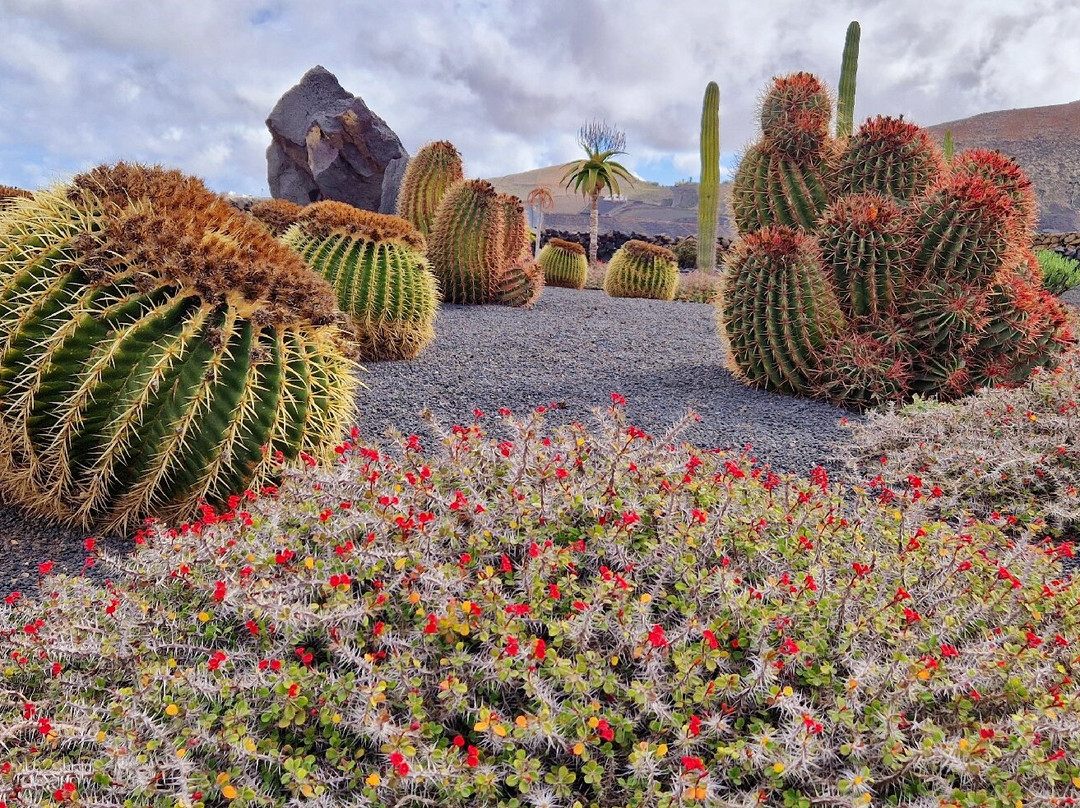 El Grifo - Museo del Vino-San Bartolome必去景点