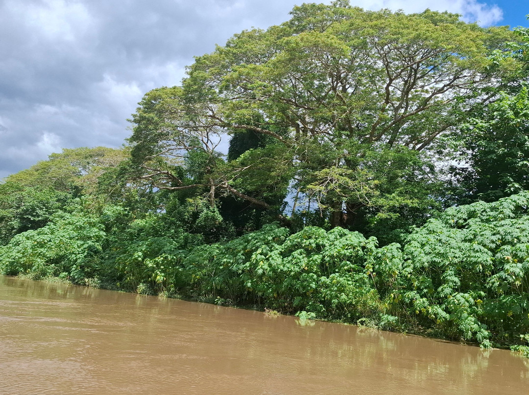 Sigatoka River Safari-辛加东卡必去景点
