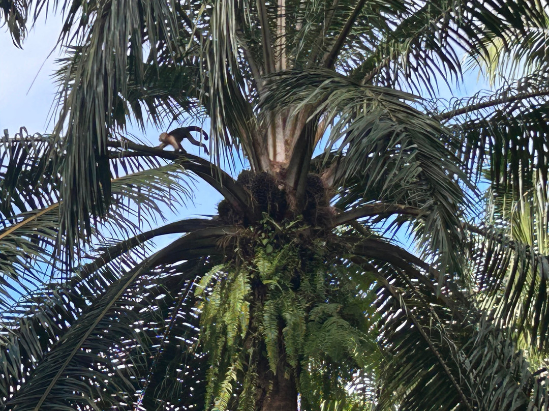 0S3 Private Tours-哈科必去景点