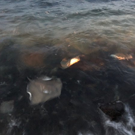 UI客栈酒店主图