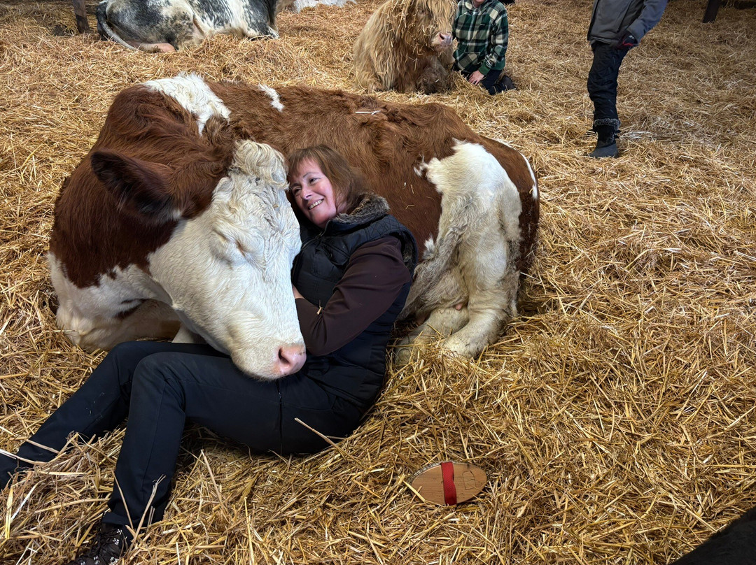 Dumble Farm-比弗利必去景点