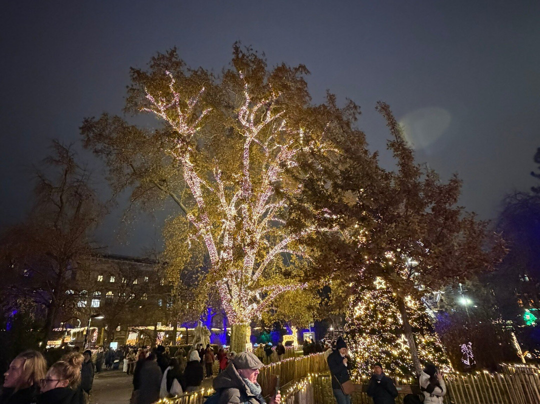 Wiener Christkindlmarkt-维也纳必去景点