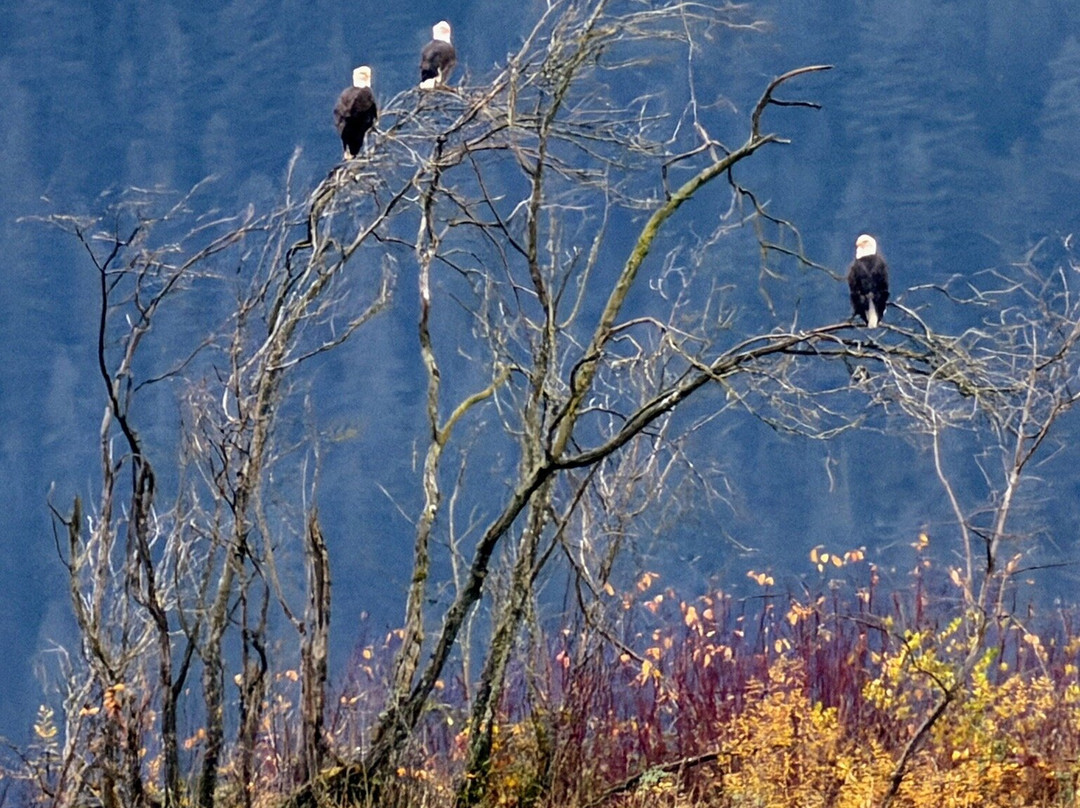 Harrison Eco Tours-哈里逊温泉必去景点