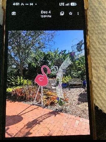 Marie Selby Botanical Gardens-萨拉索塔必去景点