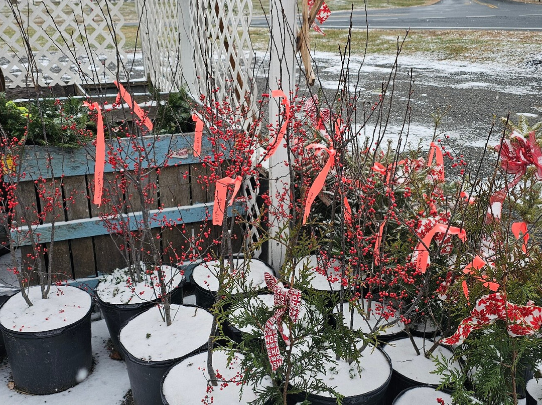 Jones Family Farm-Street必去景点