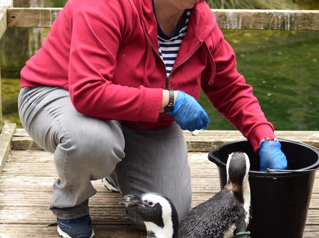 Birdworld-法纳姆必去景点