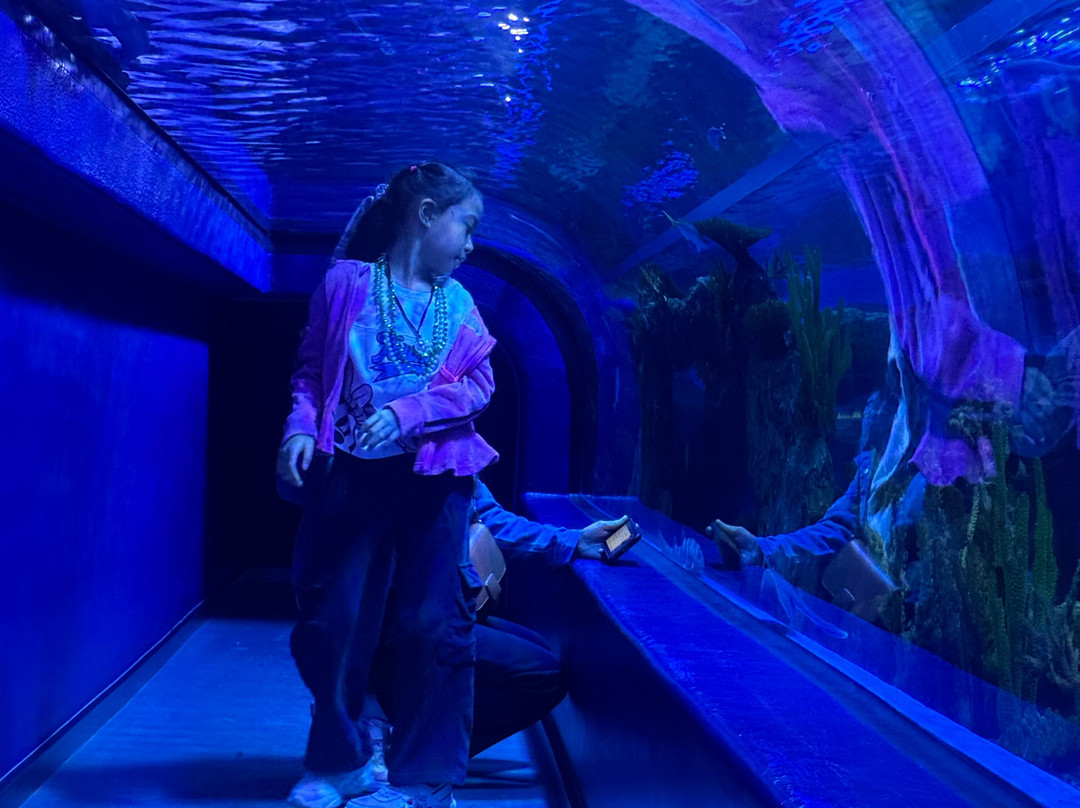 Marassi Aquarium & Underwater Zoo-Diyar Al Muharraq必去景点