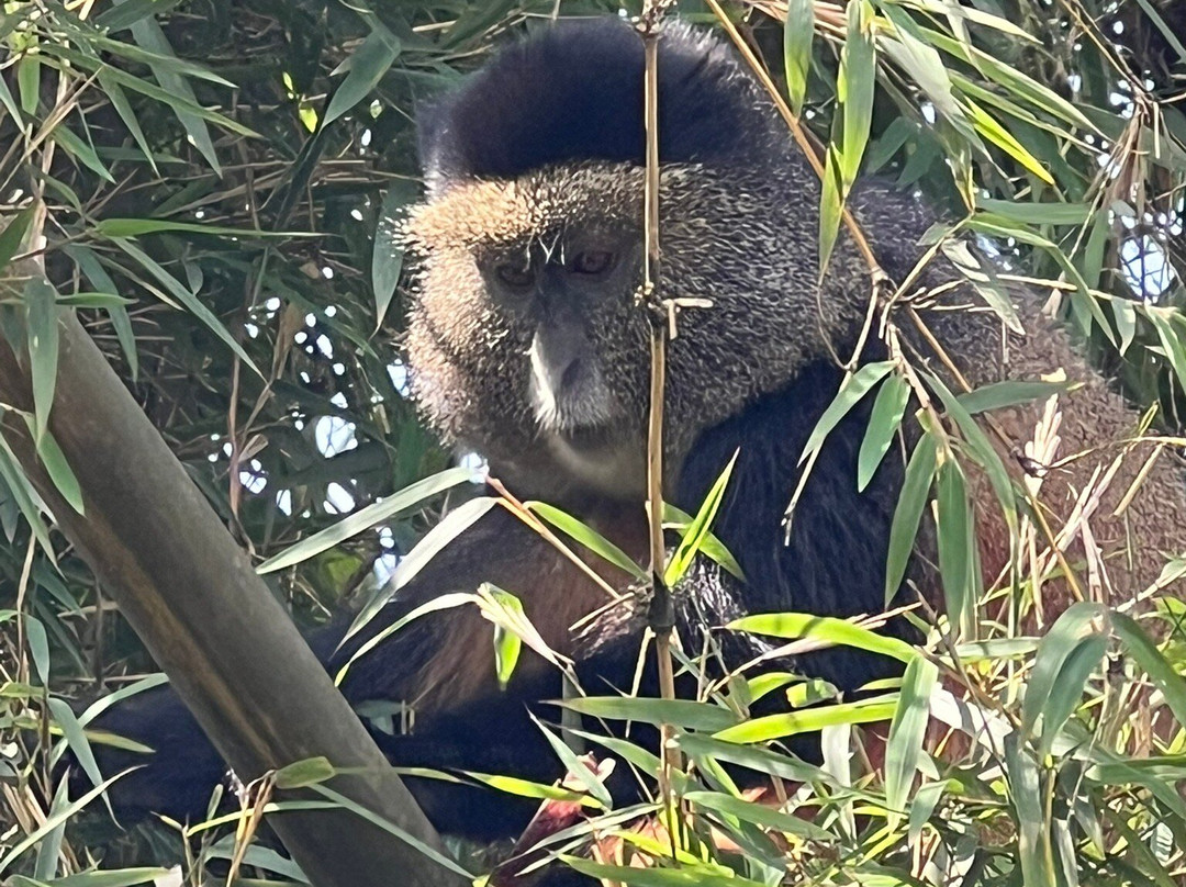 Katona Tours and Travel-吉佳利必去景点