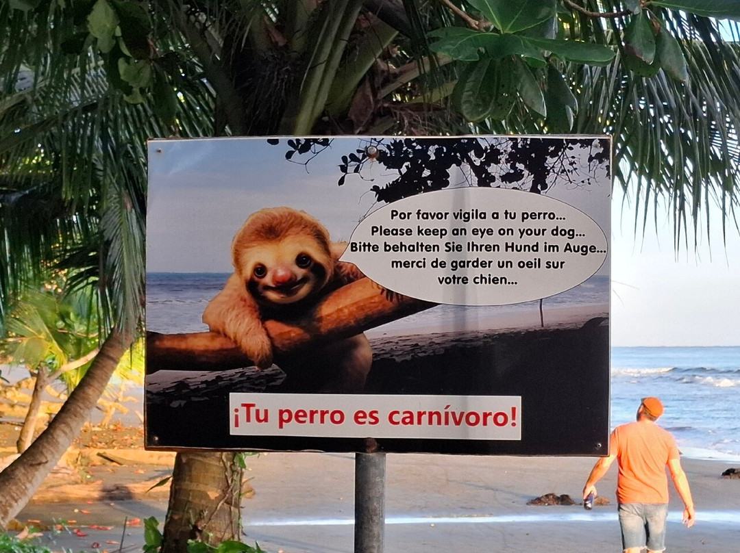 Atlantida Lodge主图