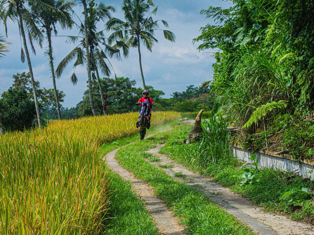 Bali Wilderness Dirt Bike - Day Tours-巴厘岛必去景点