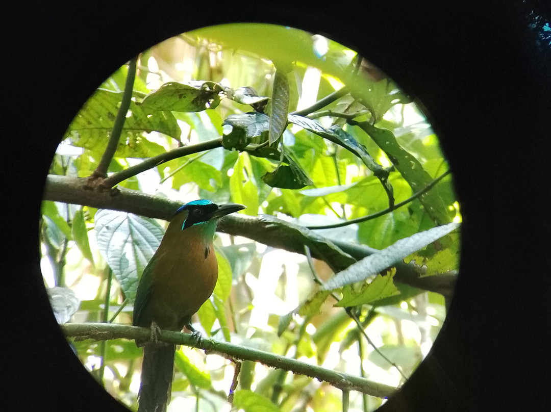 Tropical Escapade-果菲托必去景点