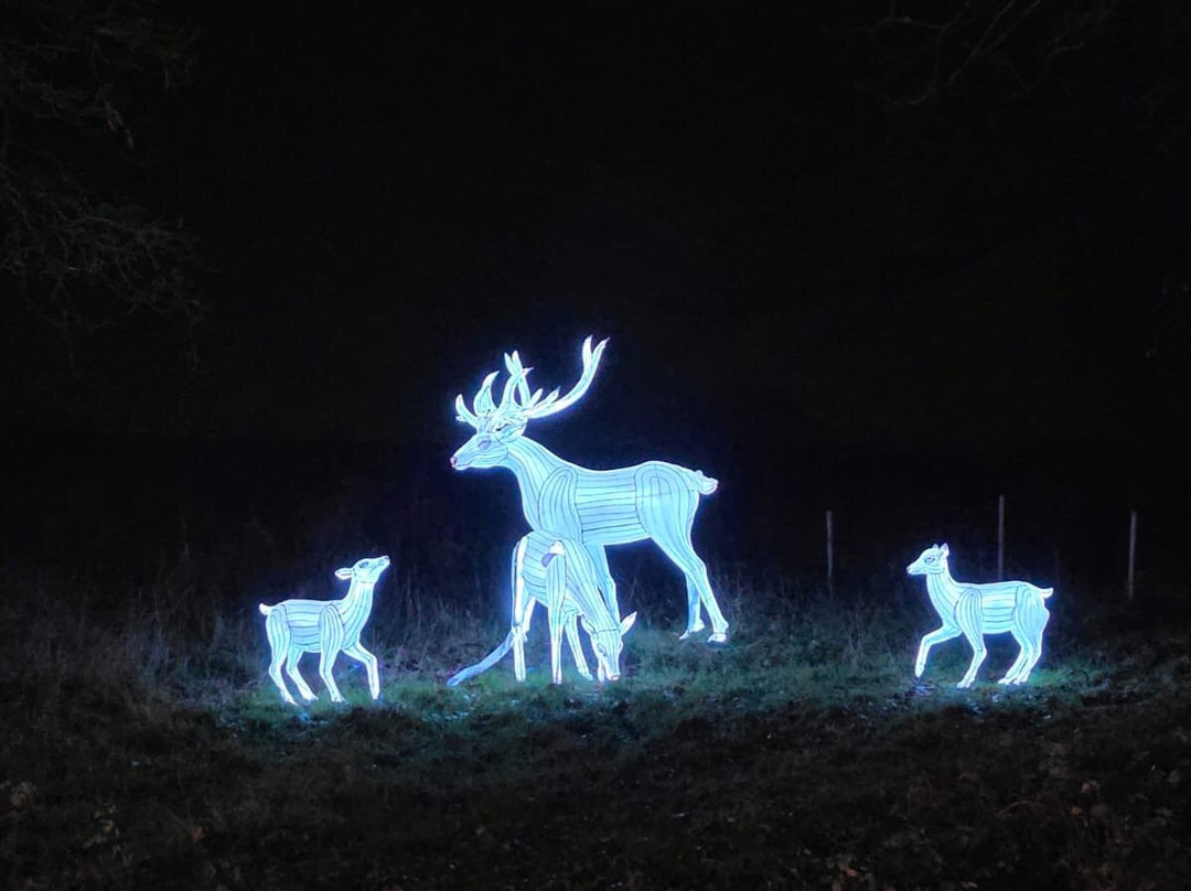Tulleys Farm-Turners Hill必去景点
