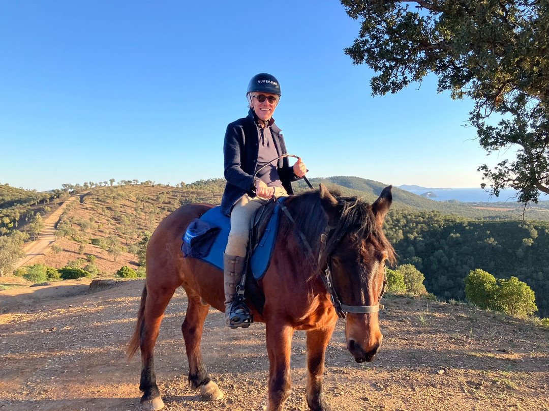 Aventure cheval. Randonnées à cheval-La Crau必去景点