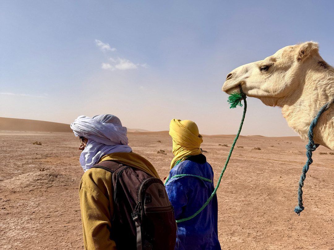 Mélodie du désert-迈哈米德必去景点