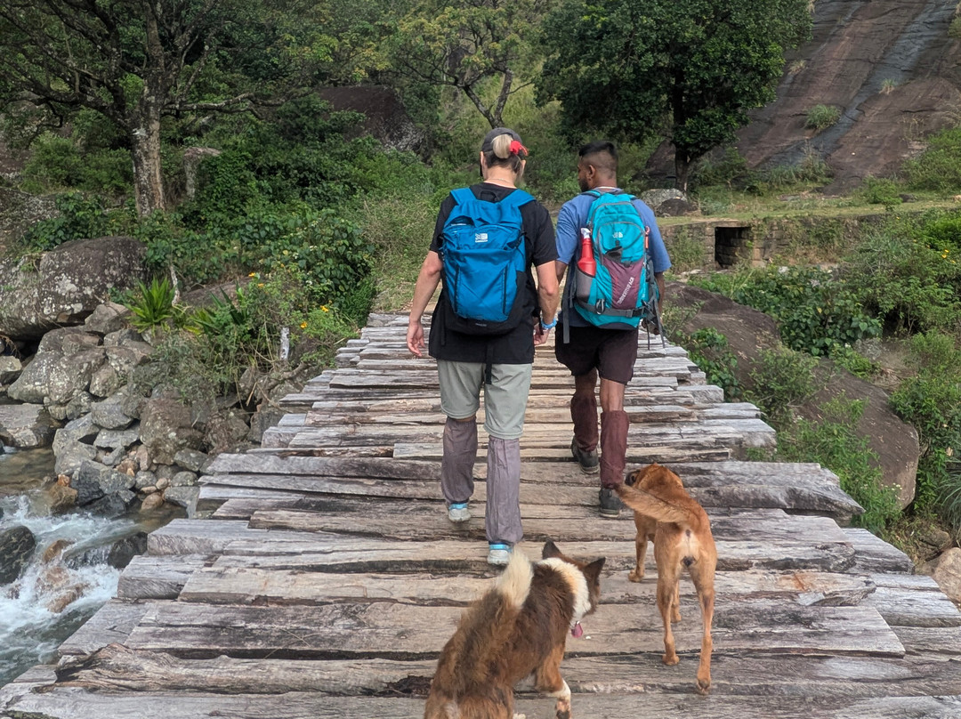 Nipuna Knuckles Trekking-康提必去景点