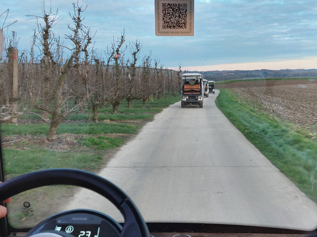 Wijnsafari in Haspengouw (Borgloon)-Borgloon必去景点