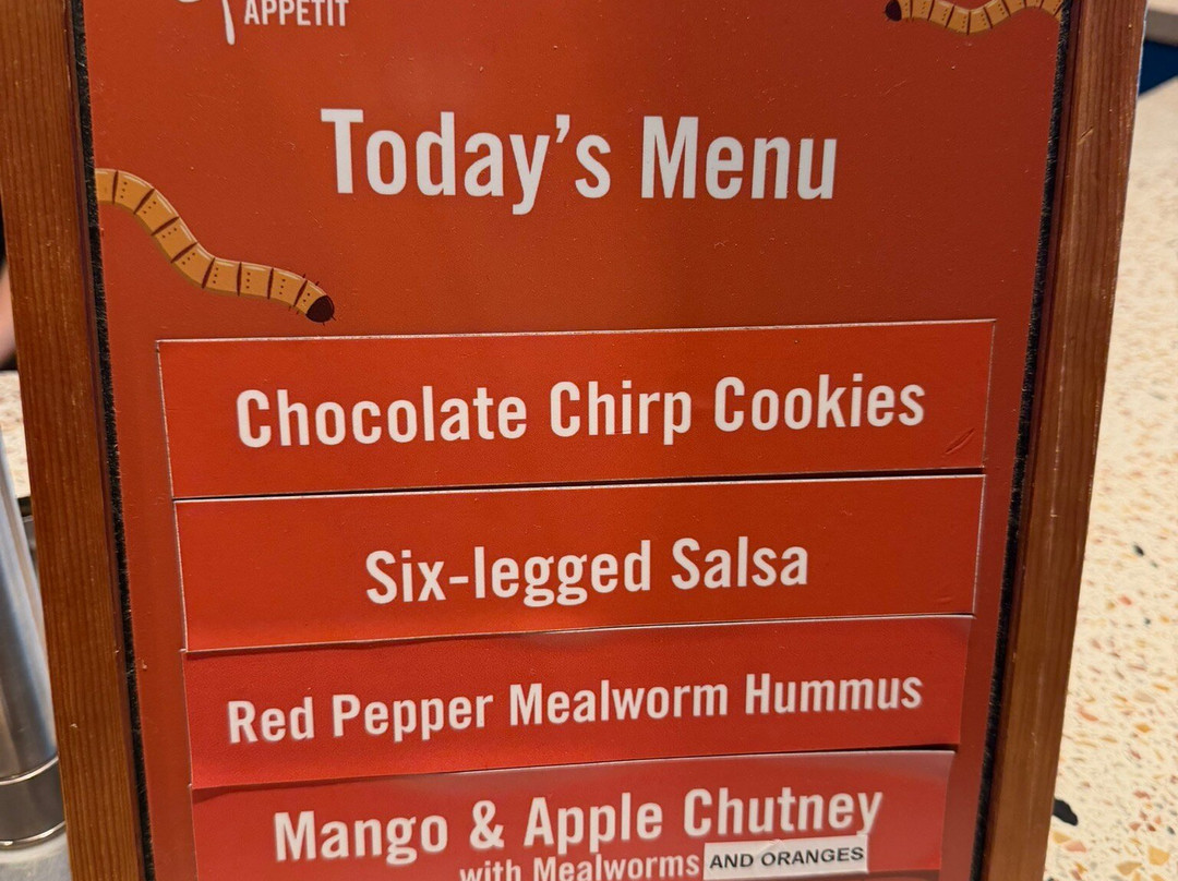 奥杜邦昆虫博物馆-新奥尔良必去景点