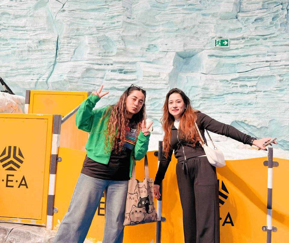 SeaWorld Yas Island Abu Dhabi-阿布扎比必去景点