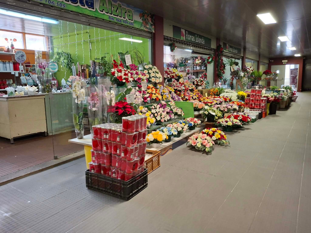 Mercado Municipal de Vila Real-Vila Real必去景点