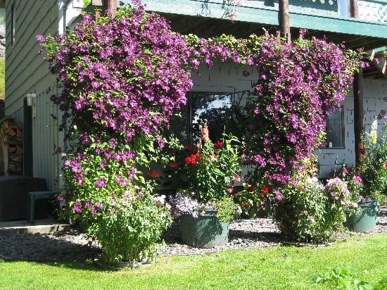 Zimovia Bed & Breakfast主图