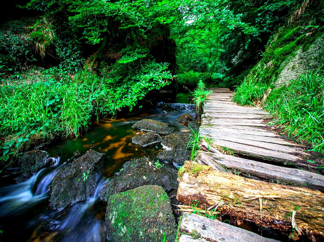 Foret de Huelgoat-Huelgoat必去景点