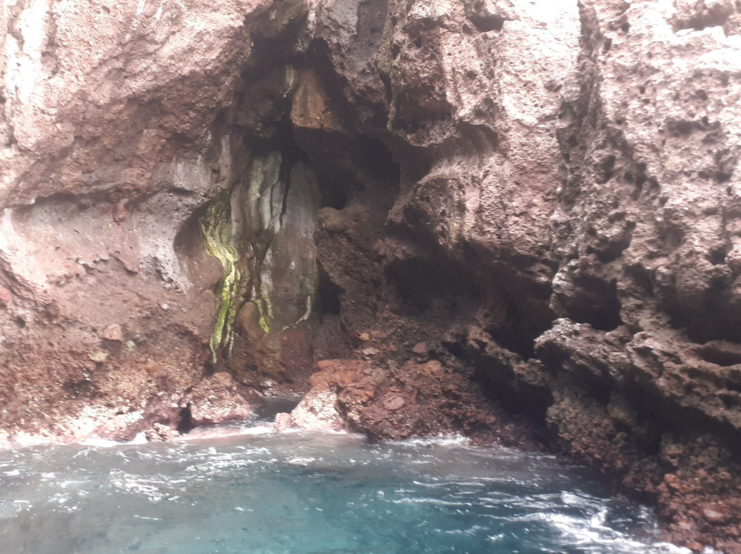 Vallarta Adventures-新瓦雅塔必去景点