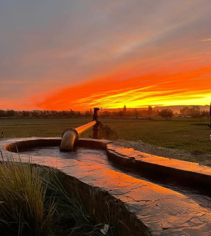 Bahariya Oasis Desert-Bahariya Oasis必去景点