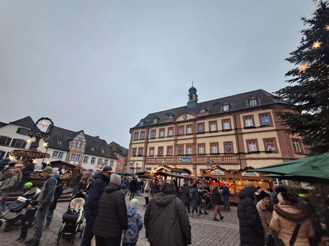 Marktplatz-Neustadt an der Weinstrasse必去景点