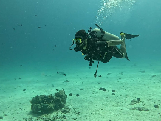 SSS Phuket Dive Freedive & Surf Center-卡塔海滩必去景点