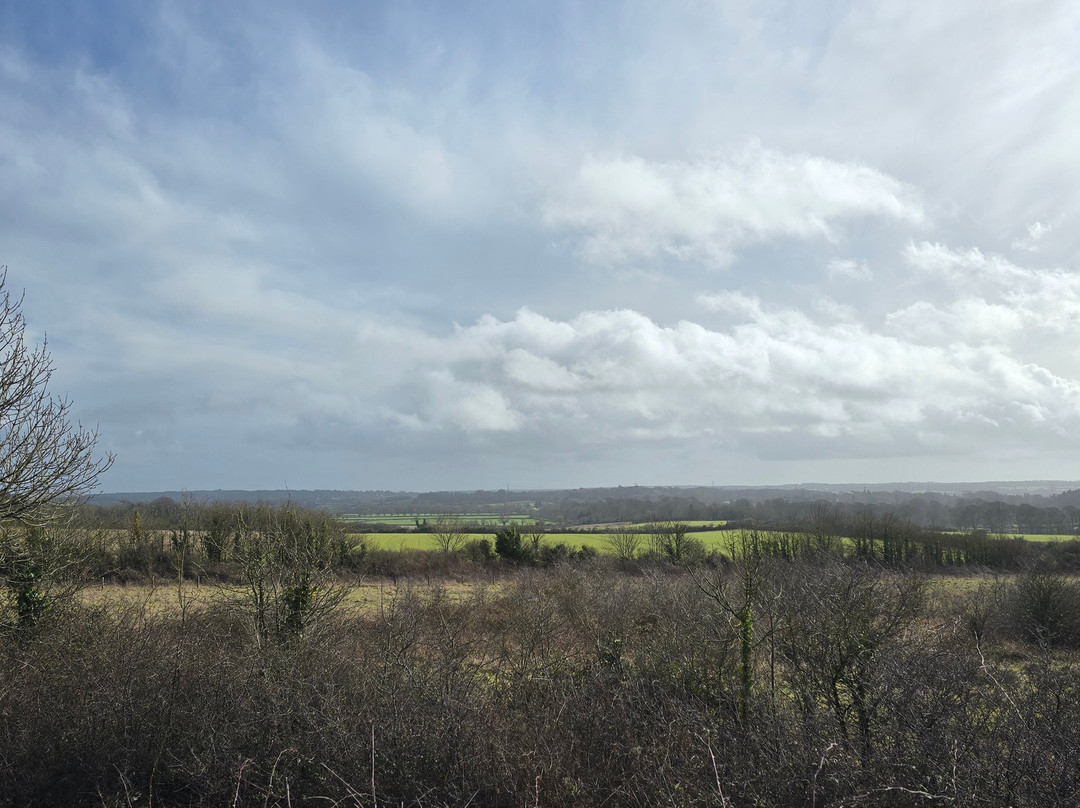 Badbury Rings-Wimborne Minster必去景点